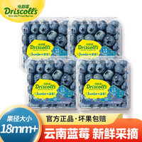 Driscoll's Only the Finest Berries 怡颗莓 蓝莓 大果 单果果径18+mm 125g*4盒