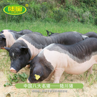 陆宝腊肠广式陆川土猪香肠广西特产玉林农家腊肉微甜广东广味500g