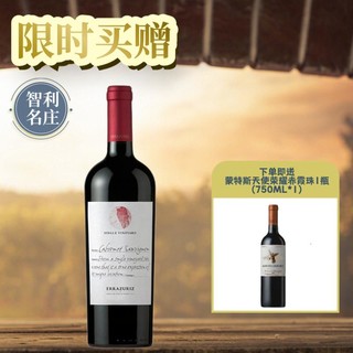 伊拉苏酒庄 单一园 阿空加瓜山谷 赤霞珠 干红葡萄酒 750ml 单瓶