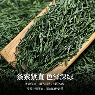 陈一凡 【下2件=发3罐】 毛尖茶叶绿茶2023新茶 雨前浓香型罐装100克