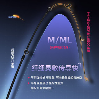 光威（GW）鱼竿1.8米ML调速龙二代直柄路亚竿泛用路亚杆鲈鱼翘嘴鳜鱼钓鱼竿