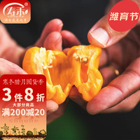 寿禾shouhe 印度魔鬼辣椒种子特辣变态辣死神辣椒种苗春冬季灯笼椒种籽 黄魔鬼辣椒种子50粒装