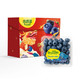 怡颗莓 云南蓝莓 超大果 原箱12盒礼盒装 约125g*盒