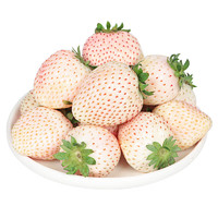 钱小二 淡雪草莓 1斤2盒/单盒15-20粒礼盒装+京东空运