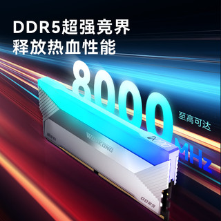 BIWIN 佰维 DX100 DDR5 6000MHz RGB 台式机内存 灯条 星光银 32GB 16GBx2 C30