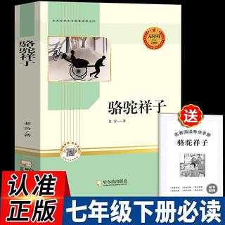 【全2册】骆驼祥子+海底两万里 七年级完整版课外阅读书籍初一初中语文阅读丛书