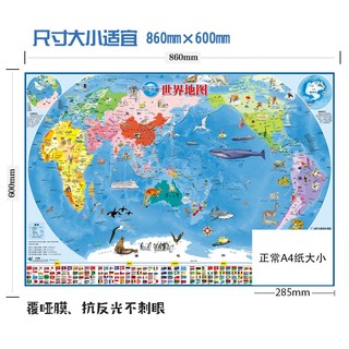【北斗地图】中国地图+世界地图（套装共2张覆膜撕不烂3-10岁儿童房挂图墙贴 地板图 家庭教育亲子启蒙地图课外阅读） 中国+世界地图（2张）
