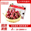 京东超市 智利进口车厘子J级 2.5kg礼盒装 果径约26-28mm 新鲜水果礼盒