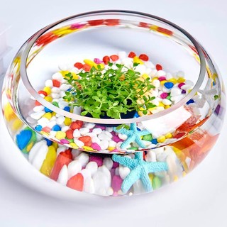 共度（Gong Du）玻璃鱼缸球形圆形缸生态草缸乌龟缸居家创意桌面水族箱观赏金鱼缸 大号裸缸 直径30cm 口径22cm 高度14cm