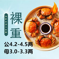 HUXIANYANGCHENG 湖鲜阳澄 大闸蟹 去绳足重 公4.2-4.5两母3.0-3.3两4对8只 鲜活螃蟹年货礼盒装