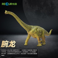 RECUR 软胶恐龙玩具男孩仿真动物模型侏罗纪儿童玩具 腕龙（RC16073D）儿童