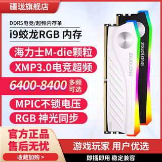 ZGJOLONG 疆珑 i9蛟龙 DDR5内存条 电竞超频 RGB灯条特挑海力士M-die颗粒 48G(24Gx2) 7200白 i9蛟龙灯条