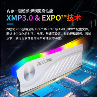ZGJOLONG 疆珑 i9蛟龙 DDR5内存条 电竞超频 RGB灯条特挑海力士M-die颗粒 48G(24Gx2) 7200白 i9蛟龙灯条