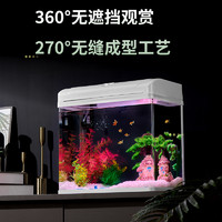 鱼乐多 鱼缸客厅小型2023生态玻璃斗鱼家用桌面迷你造景水族箱金鱼缸