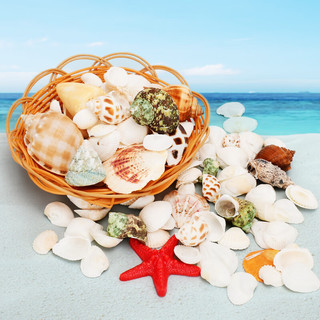 派乐特 贝壳鱼缸造景装饰摆件套餐水族箱底沙砂石海螺 含篮子