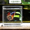 月光水母斗鱼叶子休息叶产卵叶水族宠物用品装饰仿真水草鱼缸造景躲藏 斗鱼休息叶