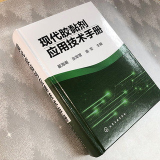 Chemical Industry Press 化学工业出版社 车用腰靠