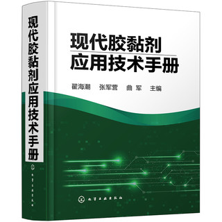 Chemical Industry Press 化学工业出版社 车用腰靠