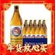 PAULANER 保拉纳 柏龙 大麦黄啤酒 500ml*20瓶 整箱装