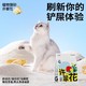 GAOYEA 高爷家 许翠花猫砂 2.5kg*4包