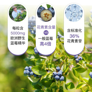 AUSupreme 澳至尊 蓝莓护眼胶囊 30粒