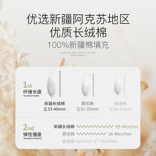 皇朝家私棉花被 A类抗菌100%新疆棉双人加厚秋冬被子 5斤200x230cm天空蓝 5斤200*230cm