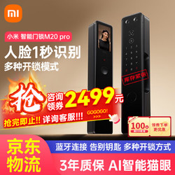 Xiaomi 小米 M20Pro 智能门锁