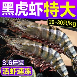 北海湾 黑虎虾大虾鲜活虾子新鲜特大号2030规格3.6斤海鲜水产