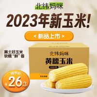 北纬妈咪 黄糯鲜玉米200g*8穗 糯玉米棒 东北粘玉米 加热即食低脂 年货送礼