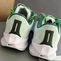 NIKE 耐克 休闲鞋男鞋2024春季运动鞋AIR ZOOM PEGASUS飞马跑步鞋 FJ0329-100白绿 42.5