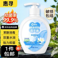 惠寻 自有品牌京东 啫喱洗手液 抑菌 除菌率99.9%  洁净 不伤手 500ml*1瓶