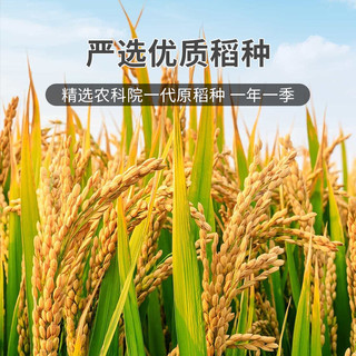 88VIP：万亩仓 寒地香稻米25kg当季新米珍珠米50斤粳米稻花软香米含胚芽