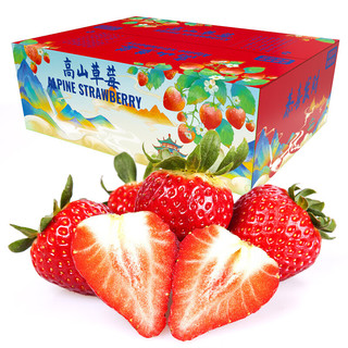 钱小二 红颜99草莓  1盒300g/15-20粒/单果15-20g