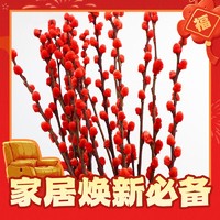 春节年货礼盒、腊八纳福：沭之美 银柳年宵花 【40cm高】银柳10枝 （不含盆）
