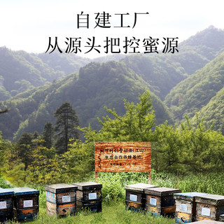 北京同仁堂 益母草蜂蜜420克（瓶装）清香怡人 拒绝添加 质地浓稠