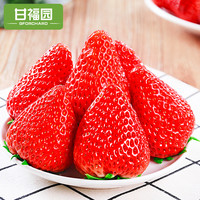 丹东99草莓新鲜水果红颜牛奶奶油九九大草莓礼盒非淡雪白草莓