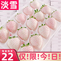 田良季【】淡雪草莓白粉色玉草莓水果奶油草莓年货新年礼 【白色淡雪】更香甜 2盒500g礼盒丨速达