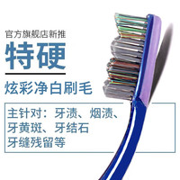  伊甸园 去牙渍烟渍 男士牙刷  10支
