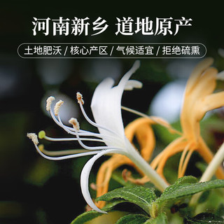 同仁堂 金银花茶50g