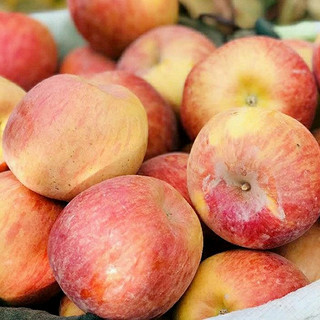 华味仙 新疆阿克苏冰糖心红富士丑苹果新鲜水果时令礼盒 5斤装单果（70-75mm）