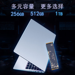 储尊SSD固态硬盘M.2接口(NVMe协议PCIe3.0*4)CN501Pro 1TB