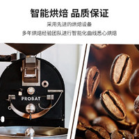 鹿家嘴 云南保山小粒精品高山红蜜咖啡豆250g中偏浅烘焙阿拉比卡
