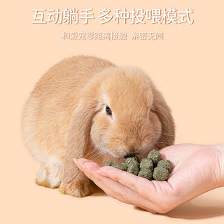 比克熊兔子苜蓿草砖兔子零食磨牙洁齿美味营养食物荷兰猪成兔幼兔300g 苜蓿草砖300g-磨牙洁齿