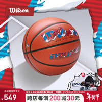 威尔胜（Wilson）专业竞赛篮球Evolution成人标准7号球PU室内外比赛训练用球 燃冰款-7号球