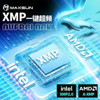 MAXSUN 铭瑄 16GB DDR4 3200 台式机内存条 W4白猎鹰系列马甲条