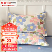 恒源祥 枕套 100%纯棉全棉枕头套居家宿舍单双人亲肤枕套床上用品 蓝海晨光 48*74cm(单只装）