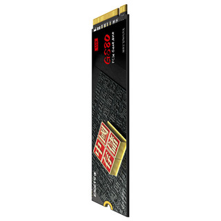 忆捷（EAGET）1TB SSD固态硬盘 M.2接口PCIe 4.0 x4长江存储晶圆 国产TLC颗粒 台式机笔记本GS80 商用