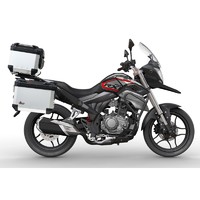赛科龙 第三代RX1S城市休旅摩托车250动力水冷发动机双通道ABS 闪金黑 旅行版 全款