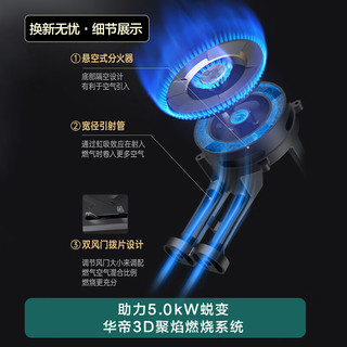 华帝（VATTI）液化气 燃气灶 家用嵌入式 台嵌两用 双灶台打火灶具 5.0kW猛火灶 JZY-i10090B