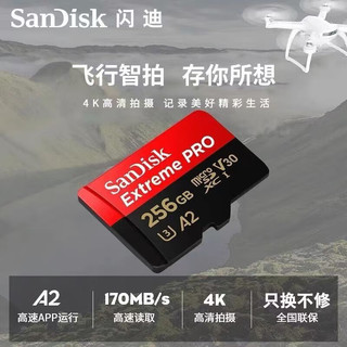 SanDisk 闪迪 256g内存卡tf卡大疆pocket3口袋云台action4山狗12运动相机存储卡 pocket3卡-送读卡器